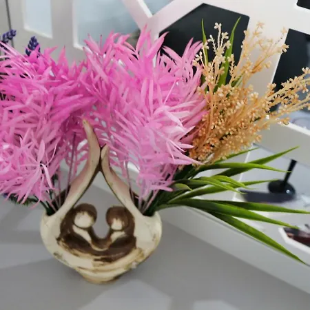 Appartamento Modern Near Coresi Mall W. Parking Braşov